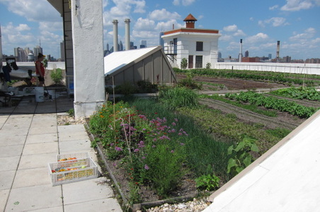 Enlarge photo 27