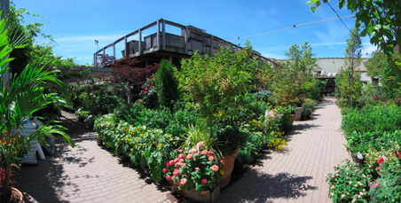 Enlarge photo 10