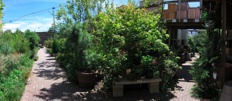 Enlarge photo 11