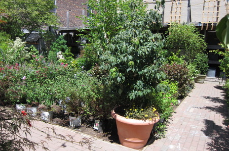 Enlarge photo 13