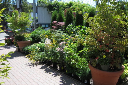 Enlarge photo 14