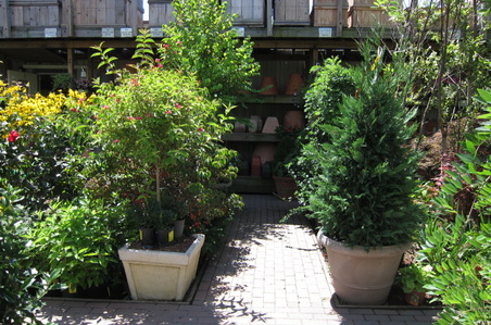 Enlarge photo 16