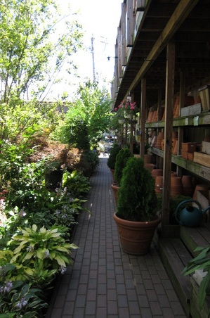 Enlarge photo 19