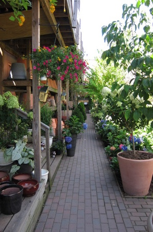 Enlarge photo 20
