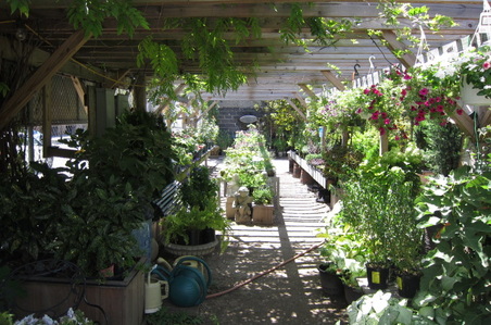 Enlarge photo 22