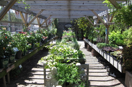 Enlarge photo 23