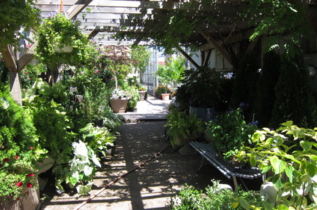 Enlarge photo 24