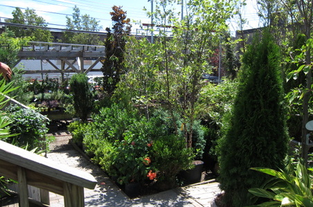 Enlarge photo 29
