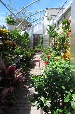Enlarge photo 31