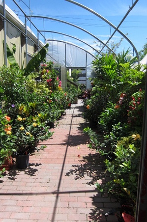 Enlarge photo 32