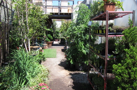 Enlarge photo 33