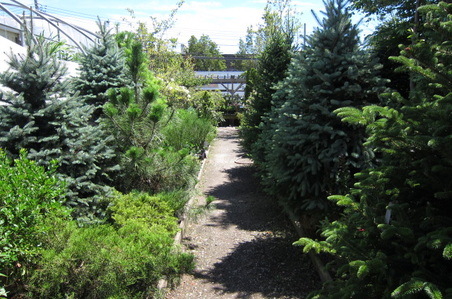Enlarge photo 35