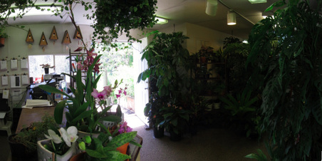 Enlarge photo 39