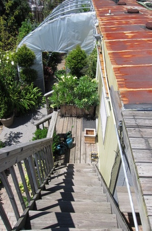 Enlarge photo 46