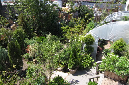 Enlarge photo 49