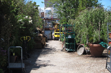 Enlarge photo 57