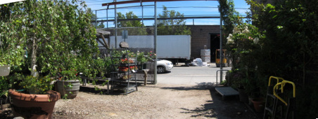 Enlarge photo 58