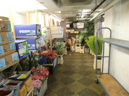 Enlarge photo 10