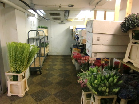 Enlarge photo 11
