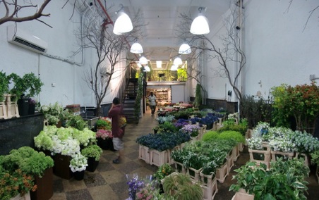 Dutch Flower Line Inc.