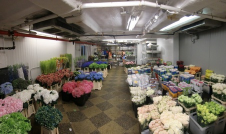 Enlarge photo 5