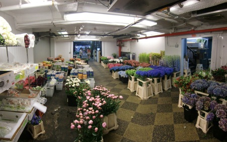 Enlarge photo 6