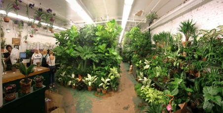 Foliage Garden