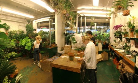 Enlarge photo 2