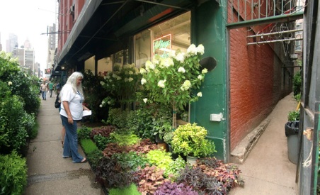 Enlarge photo 22