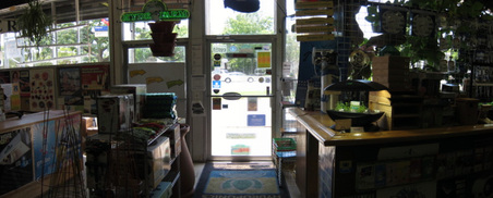 Enlarge photo 7