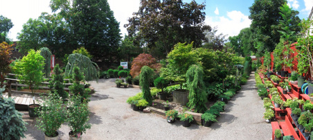 Enlarge photo 39