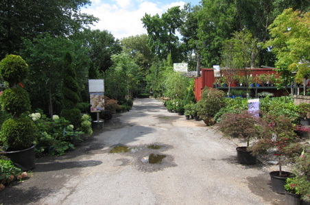Enlarge photo 43