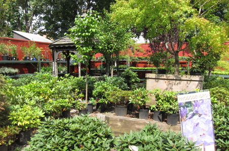 Enlarge photo 44