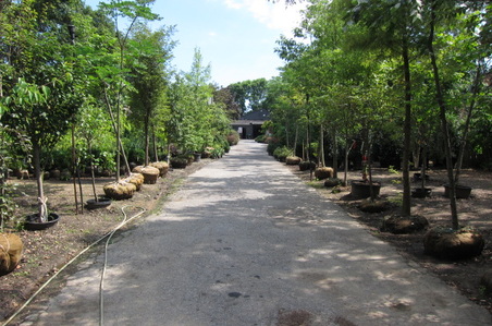 Enlarge photo 48
