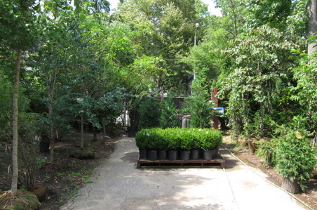 Enlarge photo 49