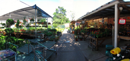 Enlarge photo 9