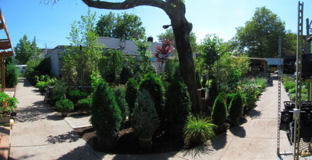 Enlarge photo 20