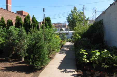 Enlarge photo 24