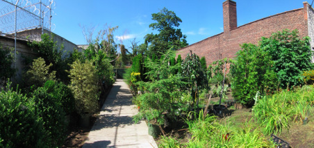 Enlarge photo 25