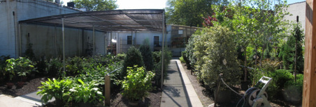 Enlarge photo 26