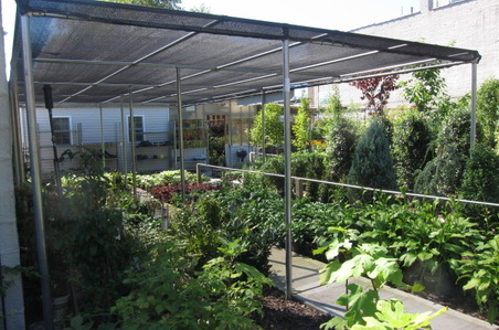 Enlarge photo 27