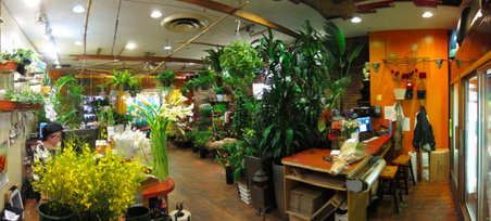 Enlarge photo 15