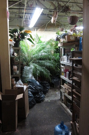 Enlarge photo 24
