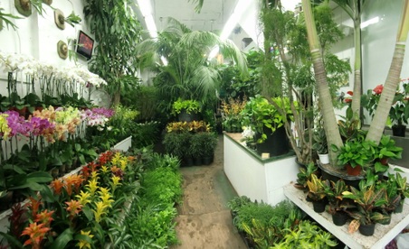 Enlarge photo 6