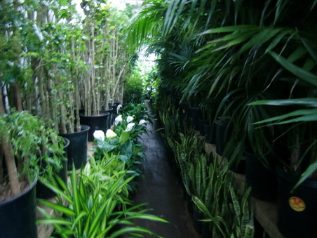 Enlarge photo 8