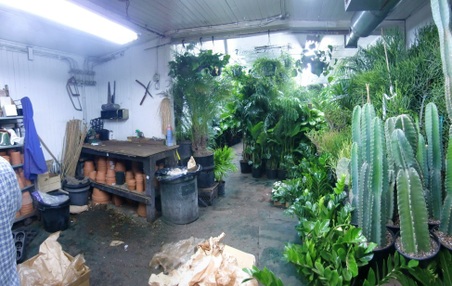 Enlarge photo 11