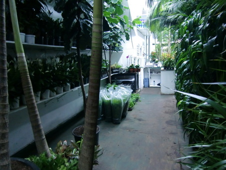 Enlarge photo 14