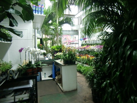 Enlarge photo 15