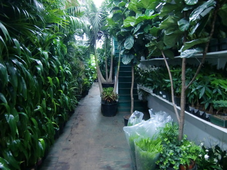 Enlarge photo 16