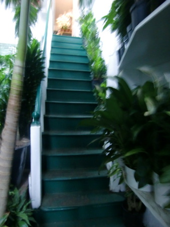 Enlarge photo 17
